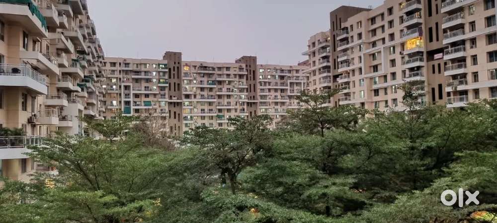 2bhk for rent, wagholi, konark Oasis