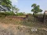 This plot near Doplhin college Manduwala.