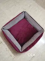 Cat and dog bed available