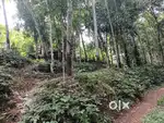 55 Cent plot for sale- 38.5 cent+10 Cent+6.5 Cent