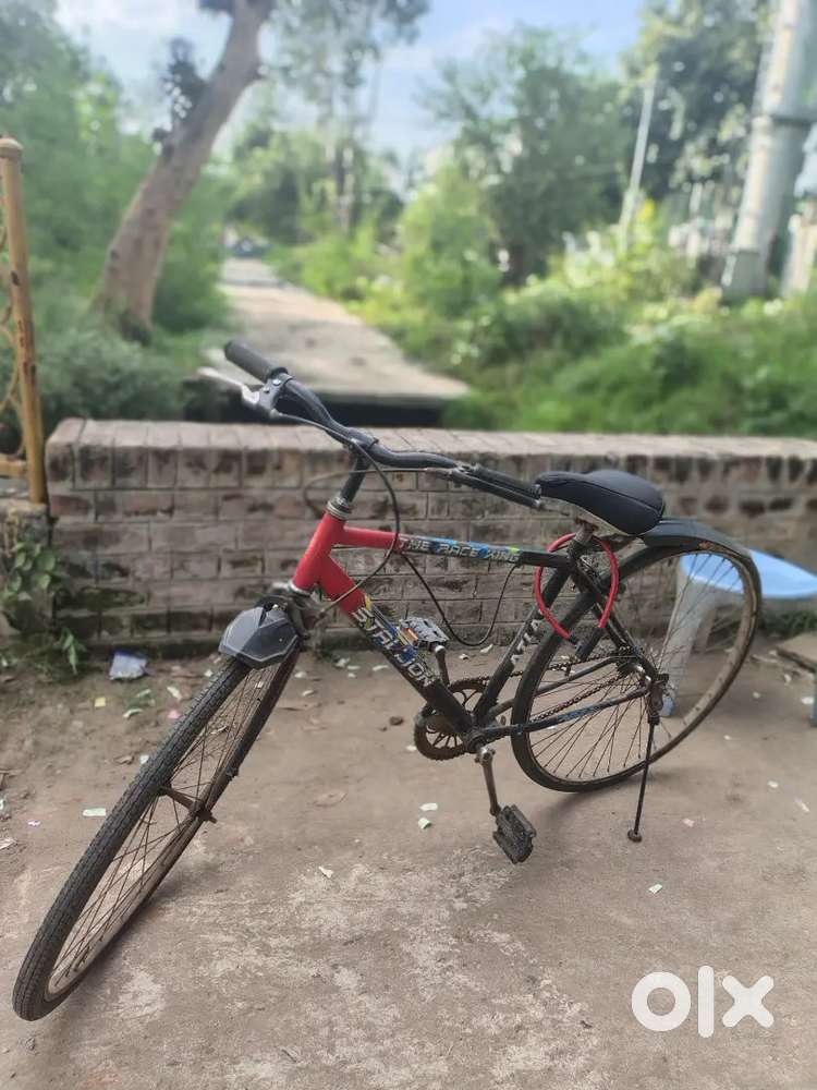 8 month old readdy condition