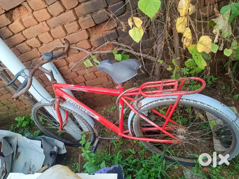 Philips cycle