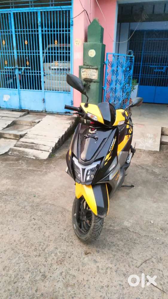 4yrs old for sell
