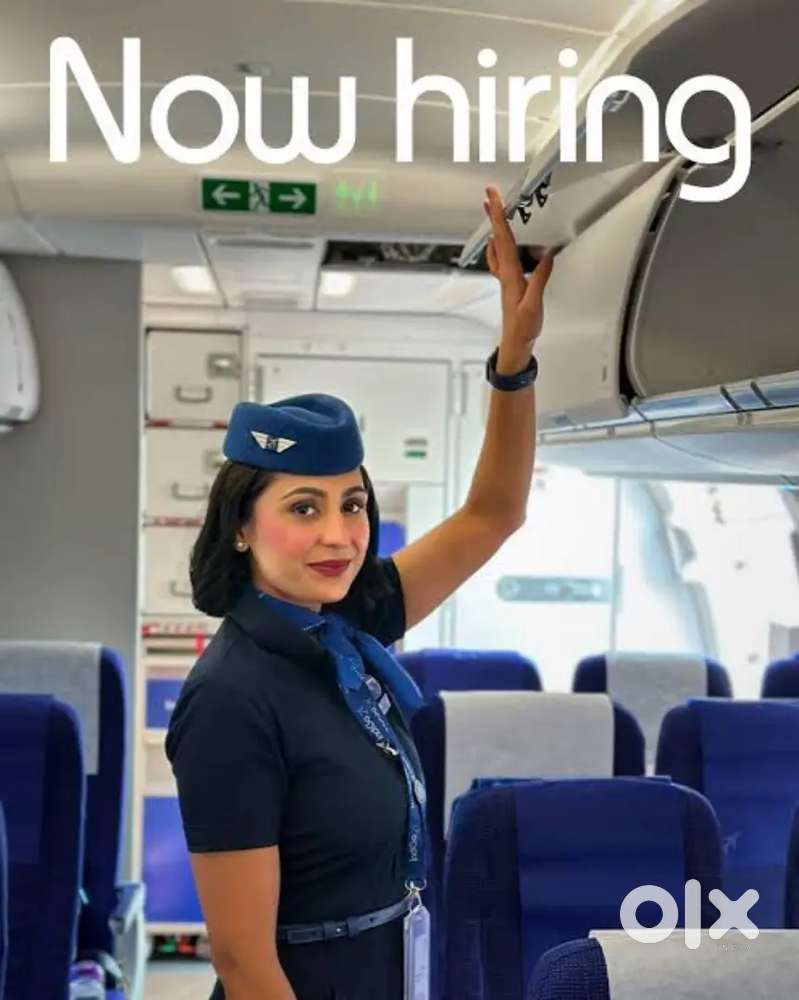 Indigo Airlines jobs /Vacancy for Airport Ground staf / Driver / Crew