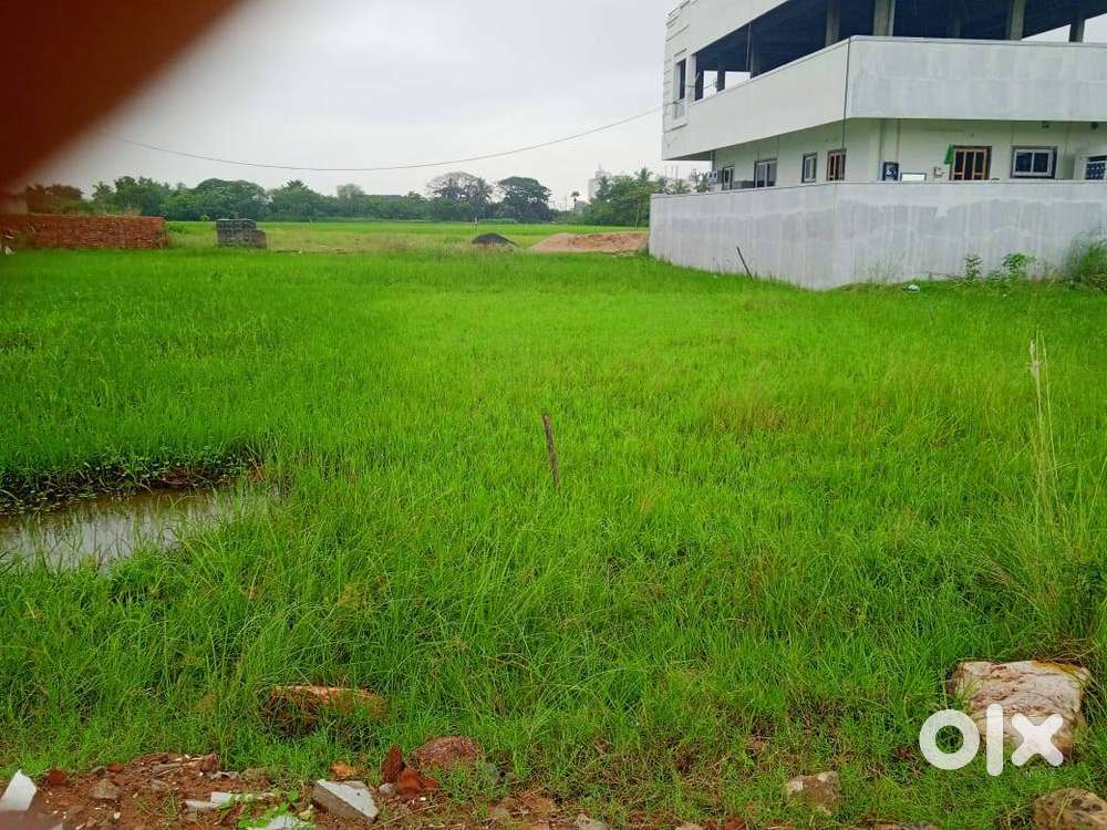 plot in thimmapuram   rajiv gandhi college backside dtcp layout