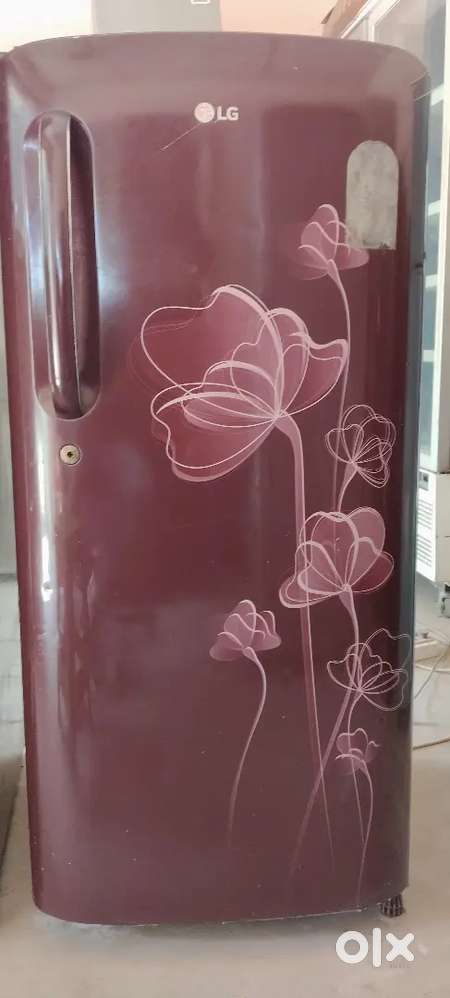 LG 190 littars Single door fridge