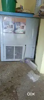 Blue Star fridge