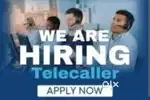 Telecallers