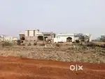 Kandul boriykud