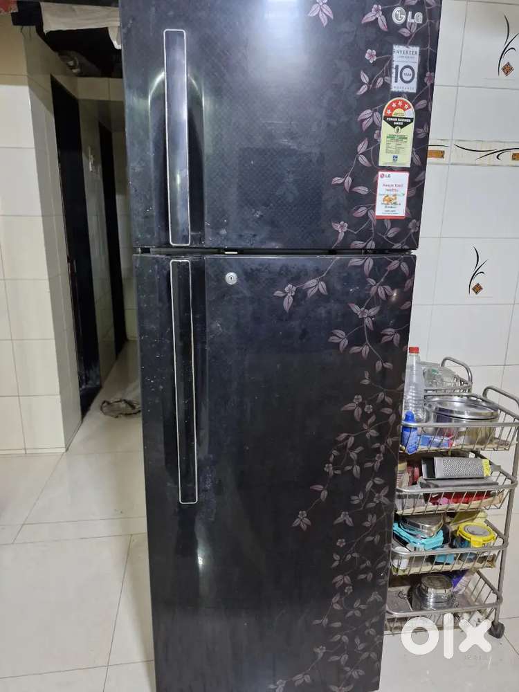LG Double Door 310 ltr