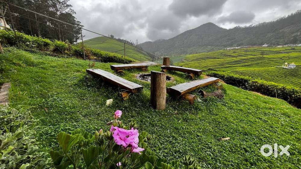 Caretaker Required for Cottage(Family)