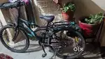 5 month old cycle only in 5000