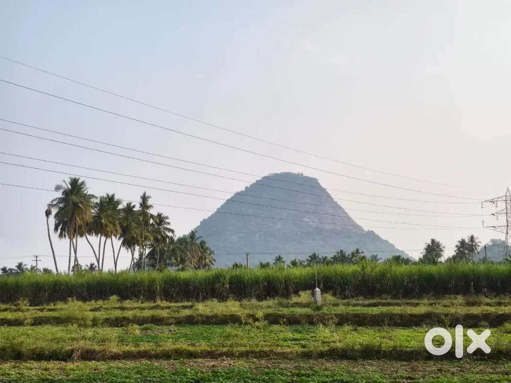 LAND FOR SALE NEAR BY URACHIKOTTAI