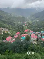 Beautiful flat for sale in serene and calm mountains of Himachal
