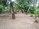 18 cent land for sale