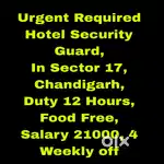 5 Star Hotel Security Guard Job Chandigarh 17