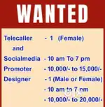 Wanted Designer ( male / female)