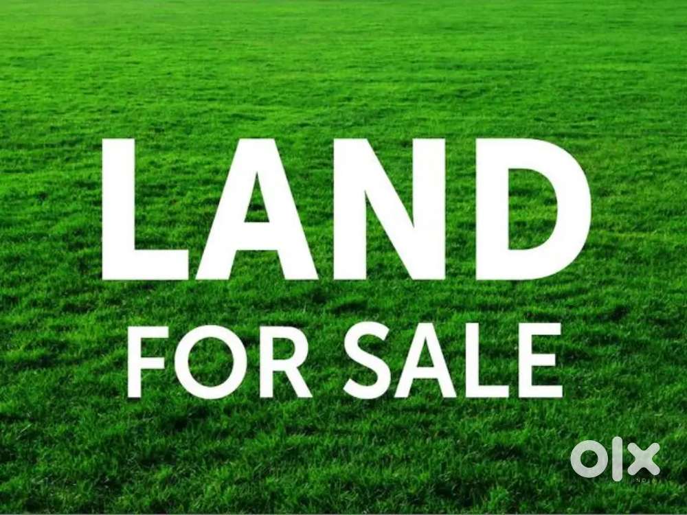 Dry land for sale