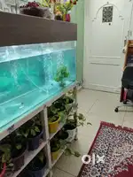 4 feet Aquarium with heavy stand