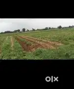 Vechavani che
