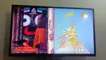 Sony tv( model no..-KLV-32R202G/2019)
