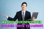 Wanted It technology and developer