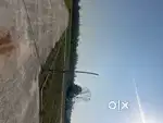 Plot for investment