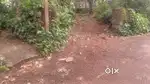 Near Madyamam daily office,7 cent third plot wayanad NH