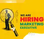 FIELD EXECUTIVE (MALE )