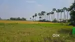 1.1 acre land for sale