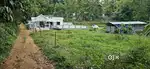 Thadiyoor pallipady near 15 cent houseplot