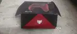 Evofox gamepad