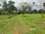 30 cent land for sale at Aluva near seaport airport road