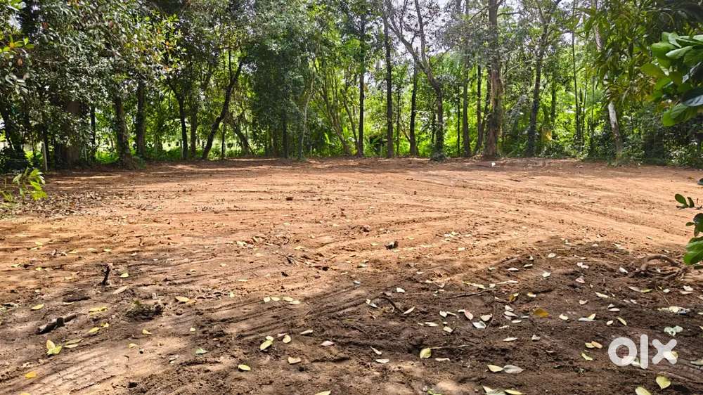 27 Cent Plot For Sale 12km Away From 1Airport( Cial) Cochin