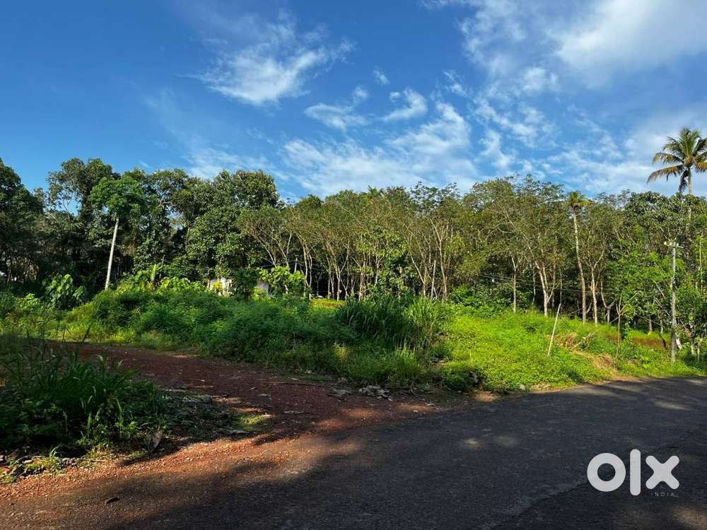 plot for sale @ ithithanam