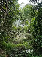 3acre land for cheap rate in valakkavu, thrissur
