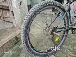 Bikes brand new