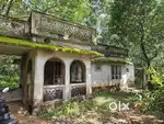 80 Cent of Land With an Old House, Thuruthikkara(350 mtr to main road)