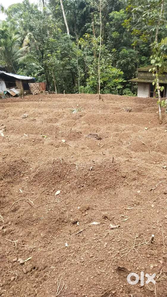 Plot for sale(Near aryanad pallivetta iti college )