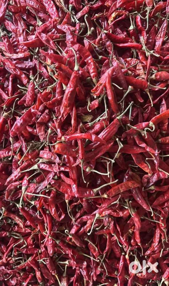 SHREE MIRCHI POWDER