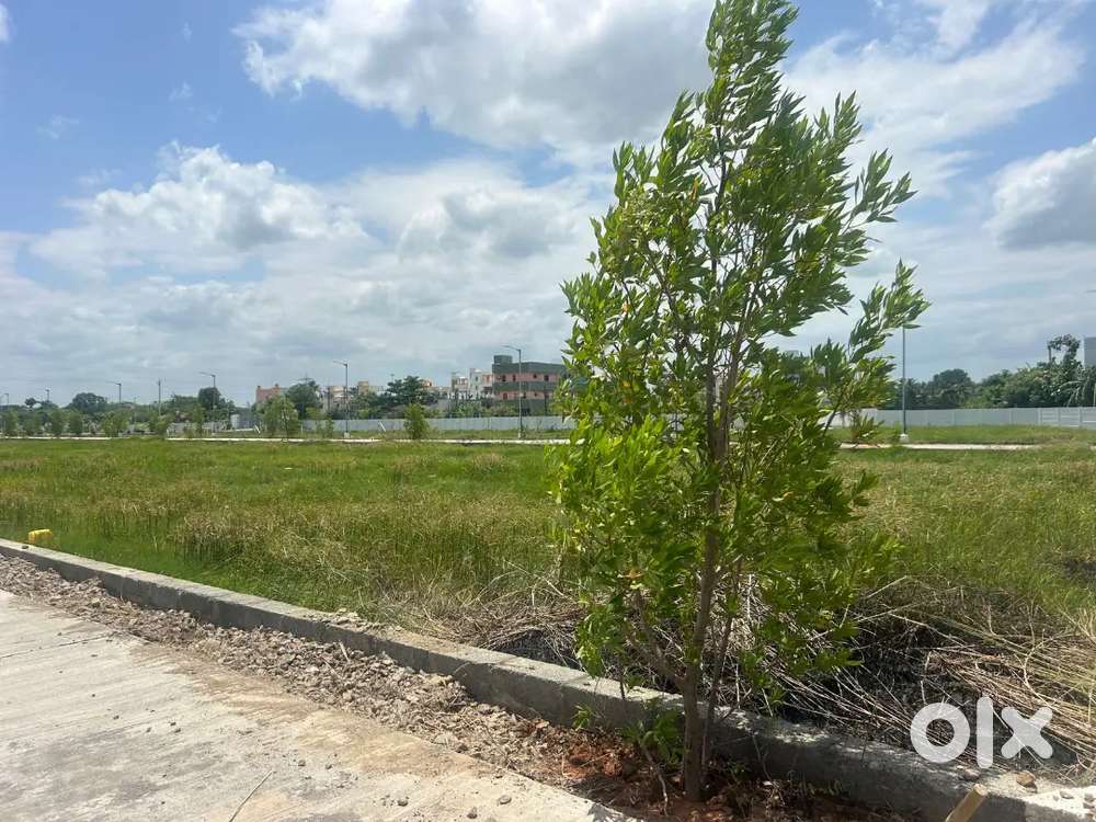 Plots @ padappai #to # oragadam Road