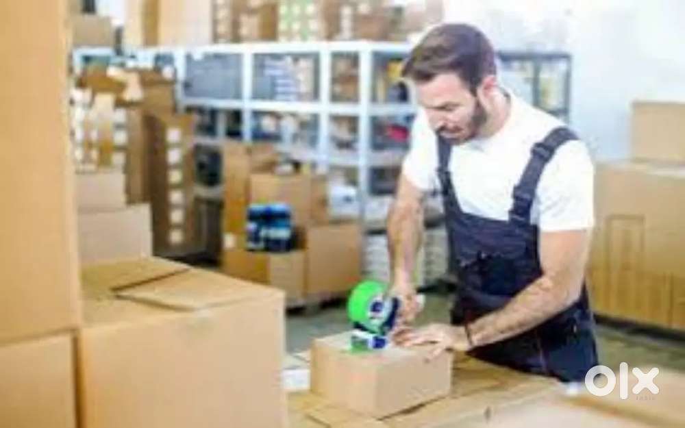 Rijab warehouse parcel packaging job