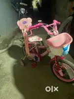 Brand New Bicycle
