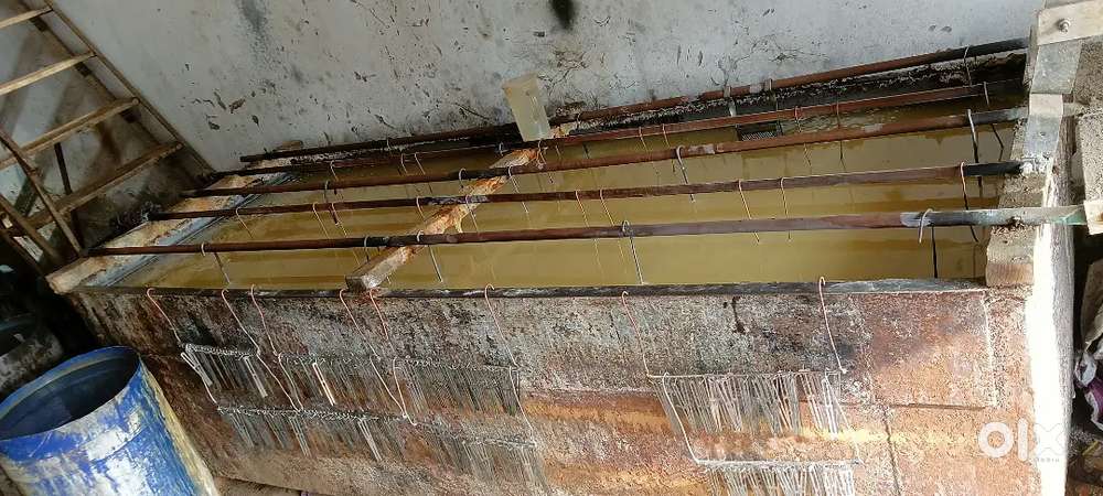 Gink plant 1000 nu mashin sathe