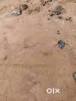 6 dicimil land for sell