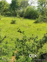 40 dismal plot available in bahadurpur near narayanpur