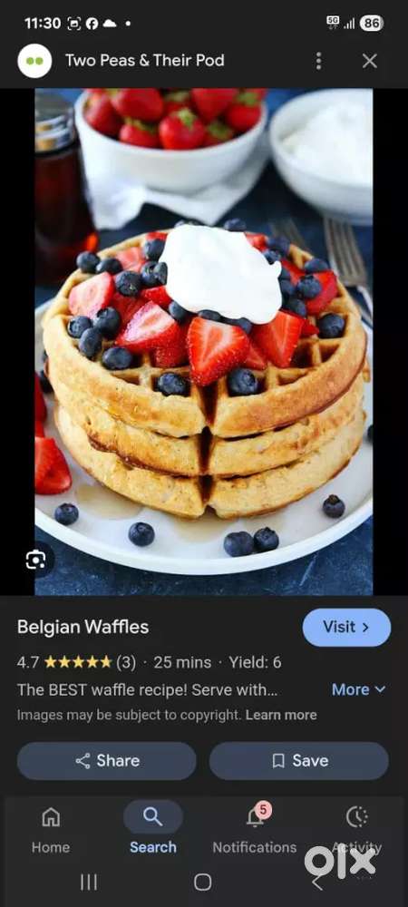 I'm looking for  Continental chef