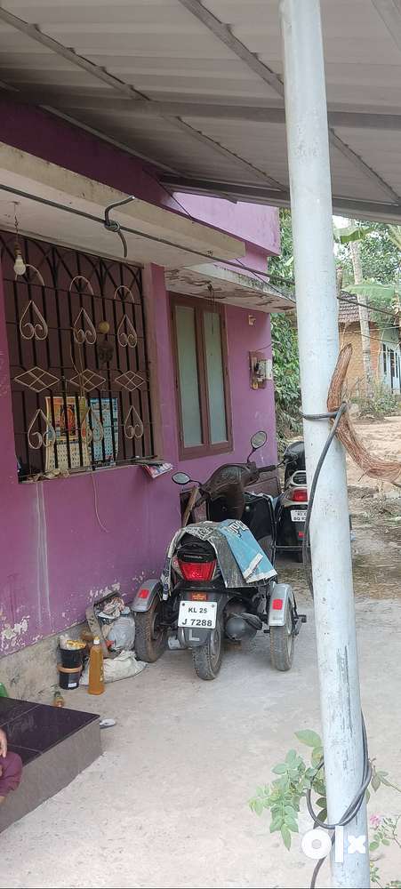 10 cent plot & old house for sale near kannaramcod karipoor nedumangad