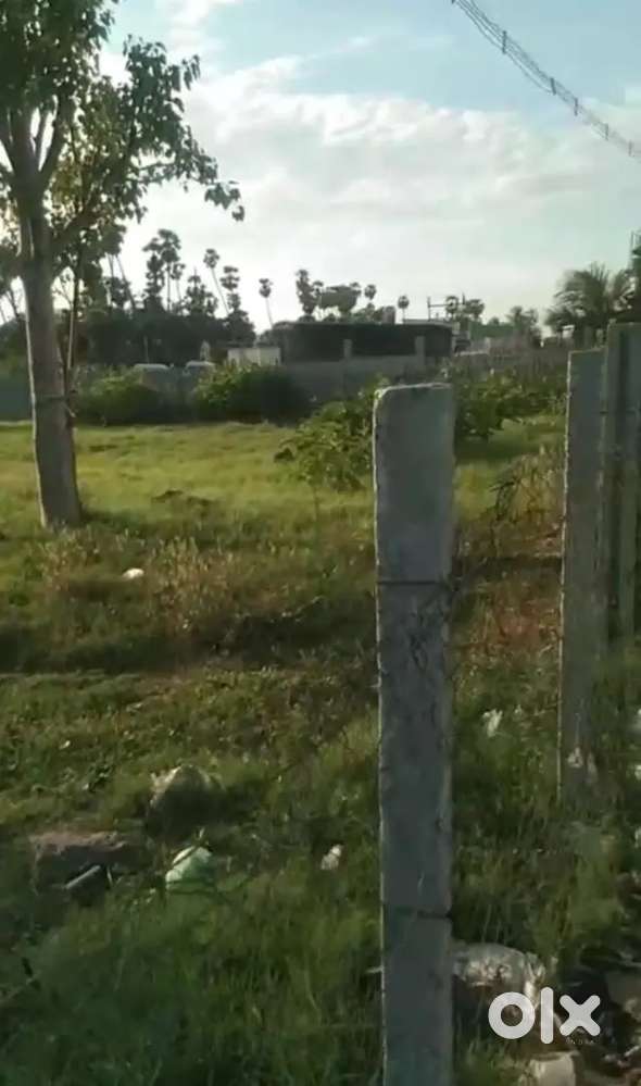 Somangalam nr Velammal school land for sale.