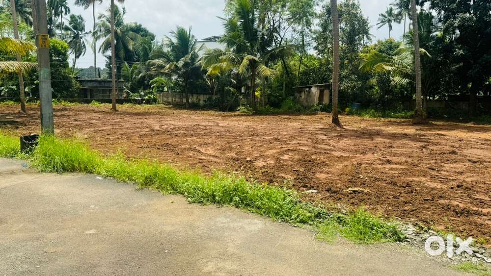 5 cent land for sale at chettupuzha